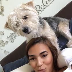 Lost Male Dog last seen Near st to 20st, Miami, FL 33128
