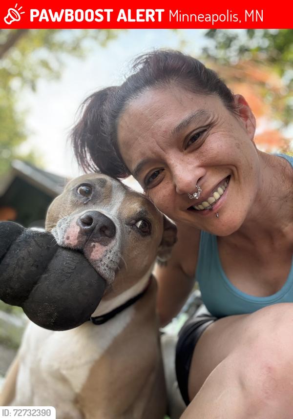 Lost Male Dog last seen 4th Ave , Minneapolis, MN 55409