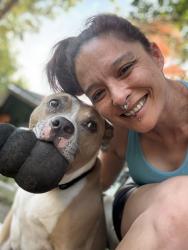 Lost Male Dog last seen 4th Ave , Minneapolis, MN 55409