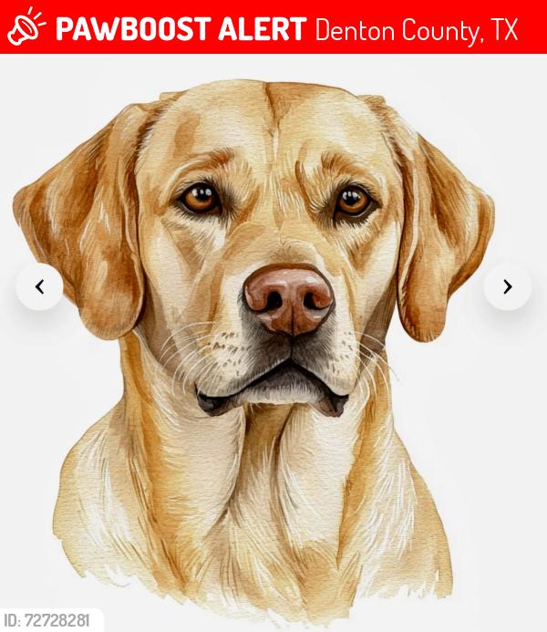 Lost Female Dog last seen Milam rd east and canyon Rd. Sanger tx 76266, Denton County, TX 76207