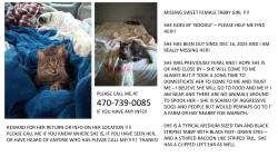 Lost Female Cat last seen aquatic center Pilgrim Mill road all the way to Northside hosp, Cumming, GA 30040