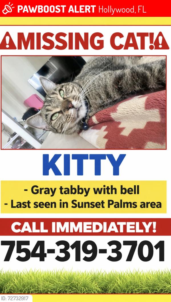 Lost Female Cat last seen Sunset palms, Hollywood, FL 33024
