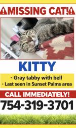 Lost Female Cat last seen Sunset palms, Hollywood, FL 33024
