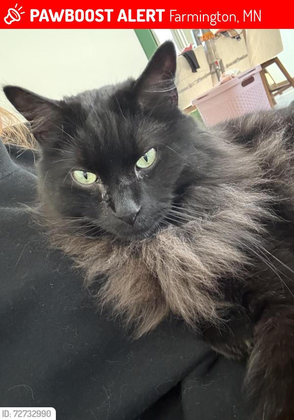 Lost Male Cat last seen 186th and English, Farmington, MN 55024
