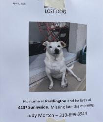 Lost Unknown Dog last seen Near Sunnyside, Los Angeles, CA 90066