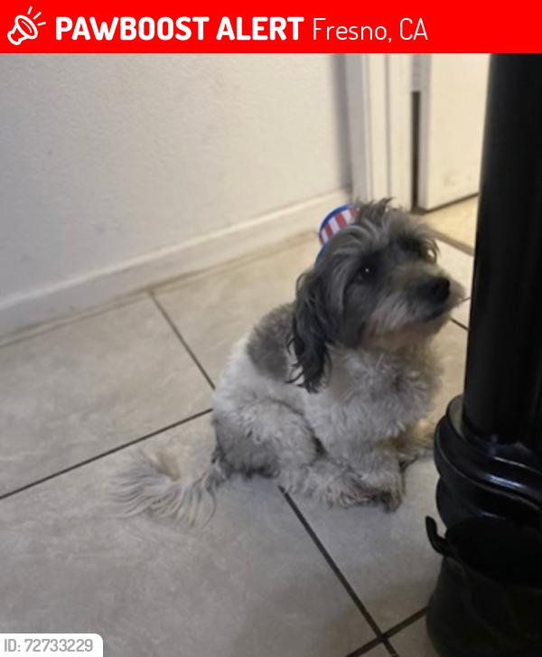 Lost Male Dog last seen Clovis & kings canyon, Fresno, CA 93727
