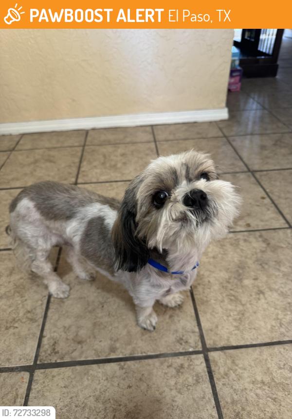 Found/Stray Female Dog last seen Alto rey, El Paso, TX 79912
