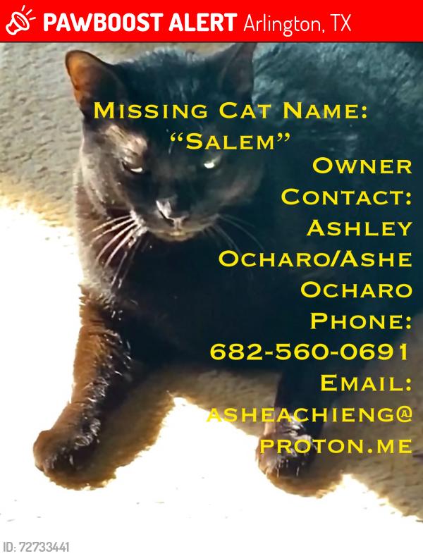 Lost Female Cat last seen Near Bluebonnet Trail Townhomes (Zip Code: 76001), Arlington, TX 76017
