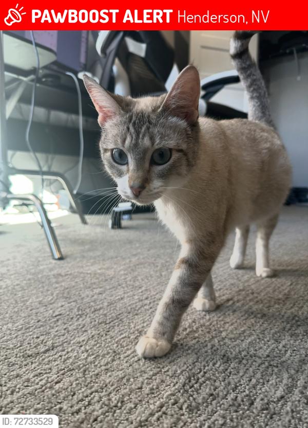 Lost Female Cat last seen Lake mead pkwy, Henderson, NV 89011