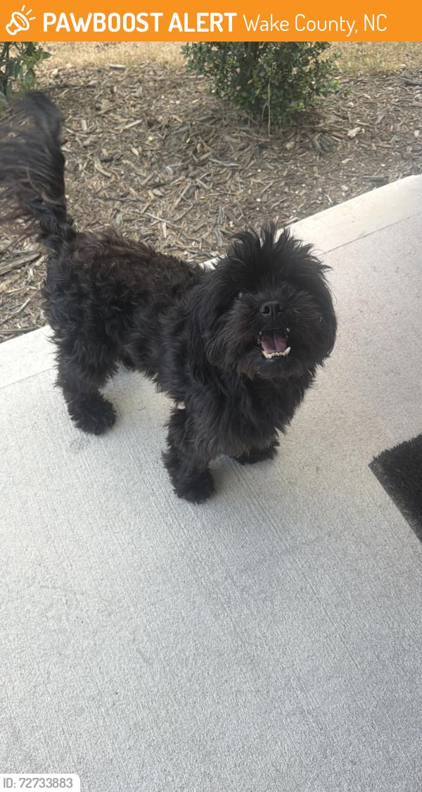 Found/Stray Male Dog last seen Near housing area near Old Baucom Rd, Wake County, NC 27610