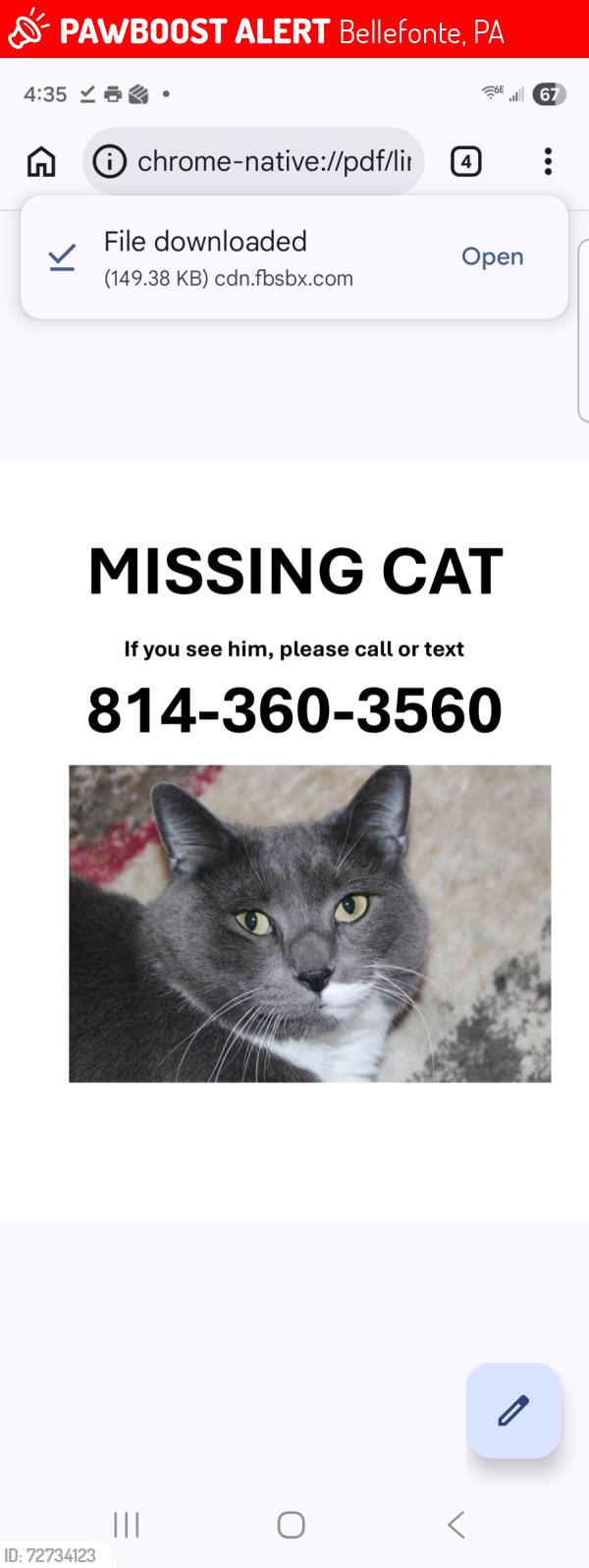 Lost Male Cat last seen Parkview Drive , Bellefonte, PA 16823