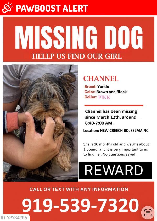 Lost Female Dog last seen New Creech rd Selma nc, Johnston County, NC 27576