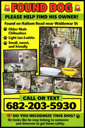 Found/Stray Male Dog last seen Waldermar st / Belknap , Fort Worth, TX 76117