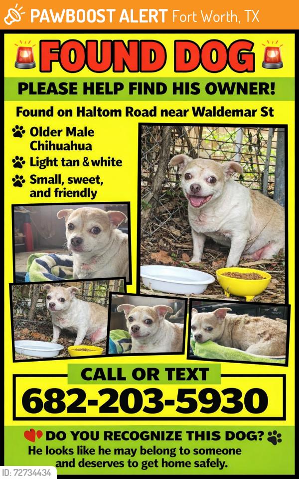 Found/Stray Male Dog last seen Waldermar st / Belknap , Fort Worth, TX 76117