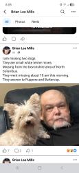 Lost Female Dog last seen Devonshire ohio, Columbus, OH 43229