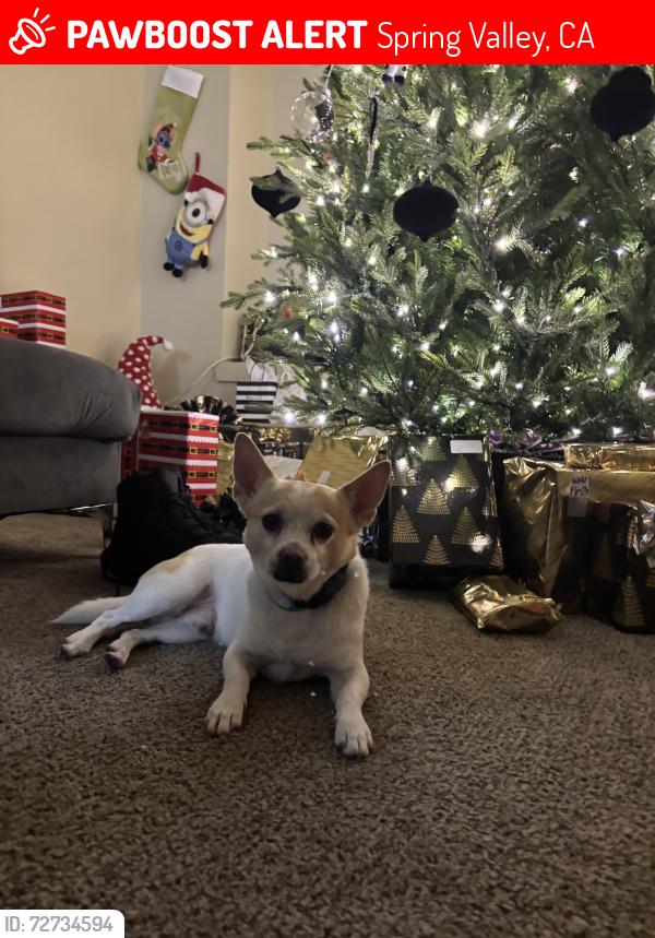 Lost Male Dog last seen Jamacha Blvd , Spring Valley, CA 91977