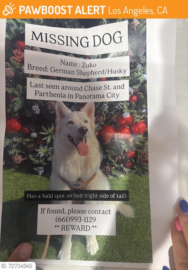 Found/Stray Male Dog last seen Chase street panorama city, Los Angeles, CA 91402