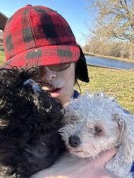 Lost Female Dog last seen 7eleven, Whittier, CA 90603