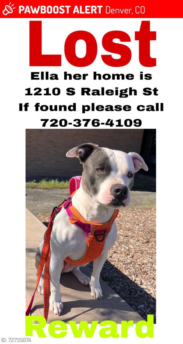 Lost Female Dog last seen Near S Raleigh St , Denver, CO 80219