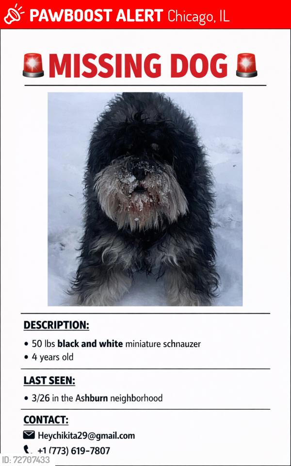 Lost Male Dog last seen Tall poll thing on Kedzie , Chicago, IL 60652