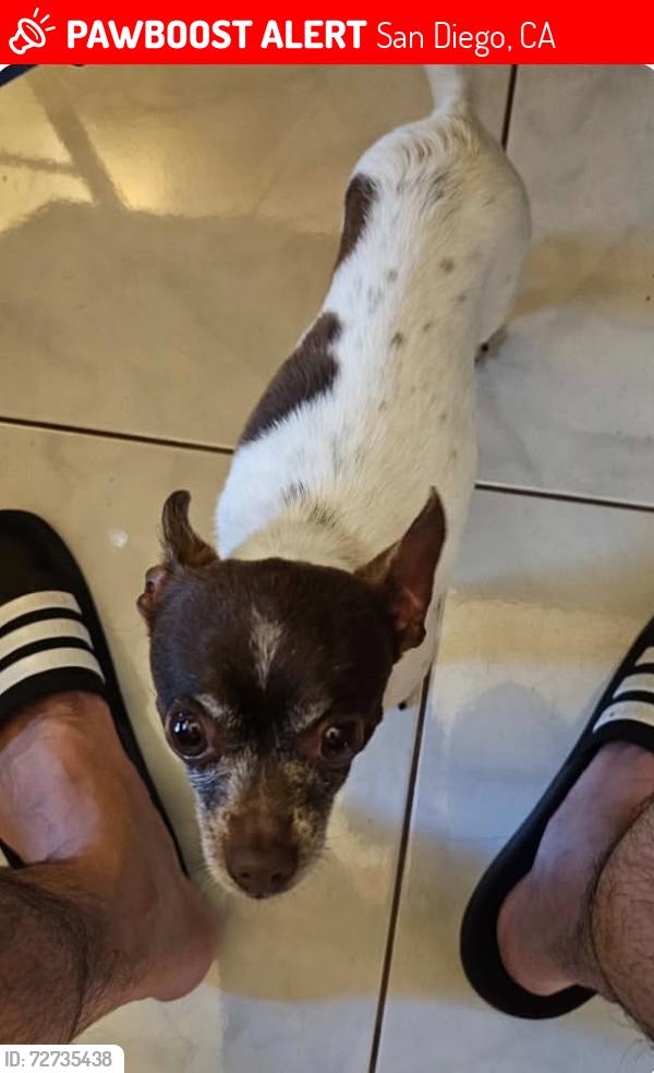 Lost Male Dog last seen Terol Court 92114, San Diego, CA 92114