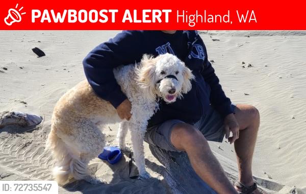 Lost Female Dog last seen Kent and Olympia St. , Highland, WA 99337