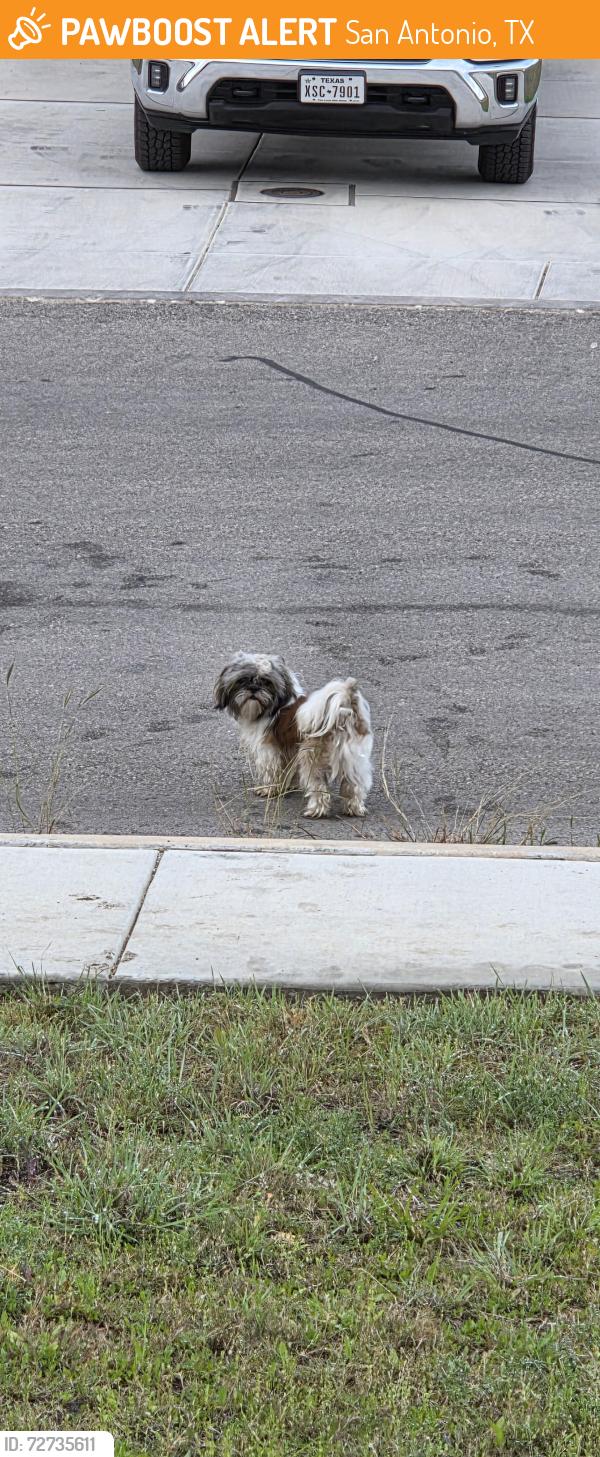 Found/Stray Unknown Dog last seen Soothing water , San Antonio, TX 78244