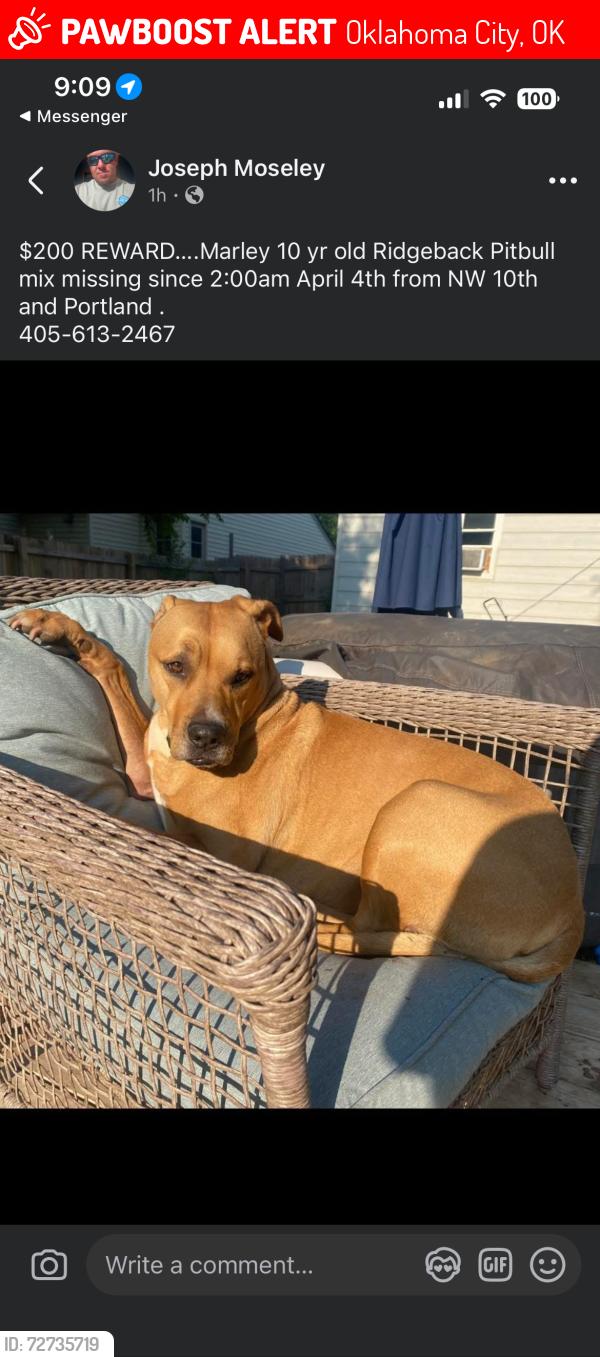Lost Female Dog last seen Near n tabor , Oklahoma City, OK 73107