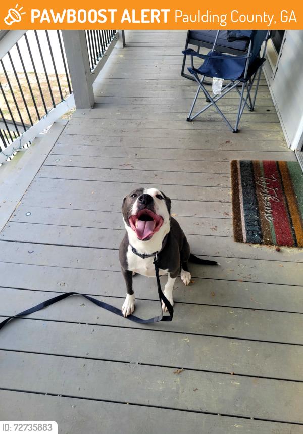 Found/Stray Male Dog last seen Near HWY 92, Paulding County, GA 30157