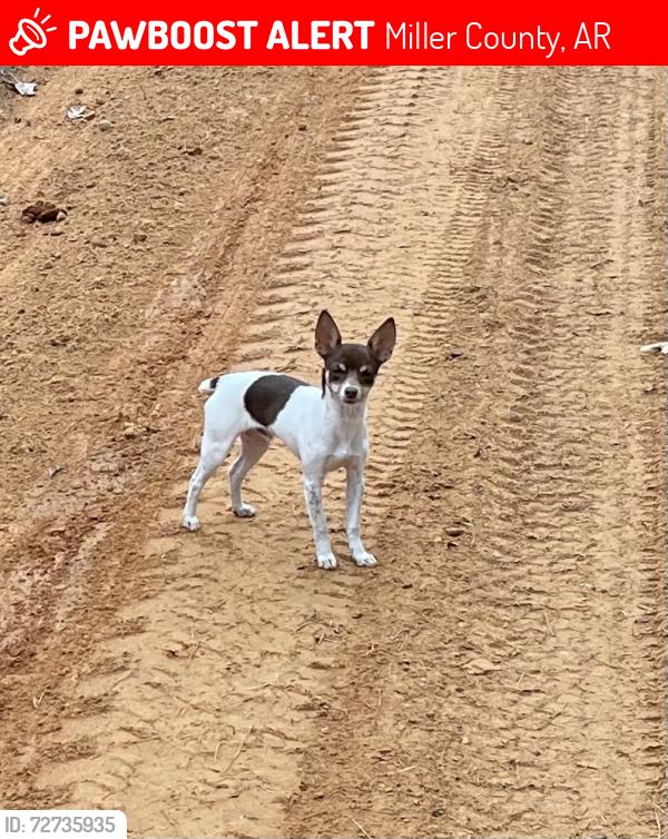 Lost Male Dog last seen county rd 6 Doddridge Ar, Miller County, AR 71834
