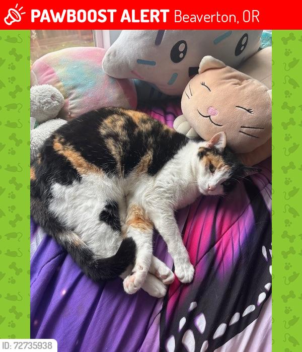 Lost Female Cat last seen By the Westside Regional trail off Galena, Beaverton, OR 97007