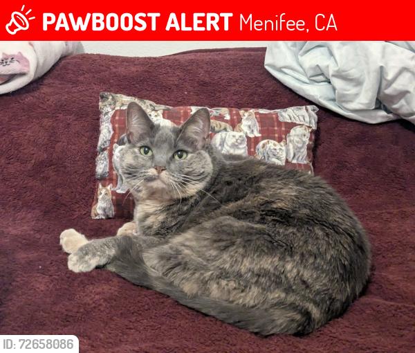 Lost Female Cat last seen Stageline Cir and Whispering Way , Menifee, CA 92584