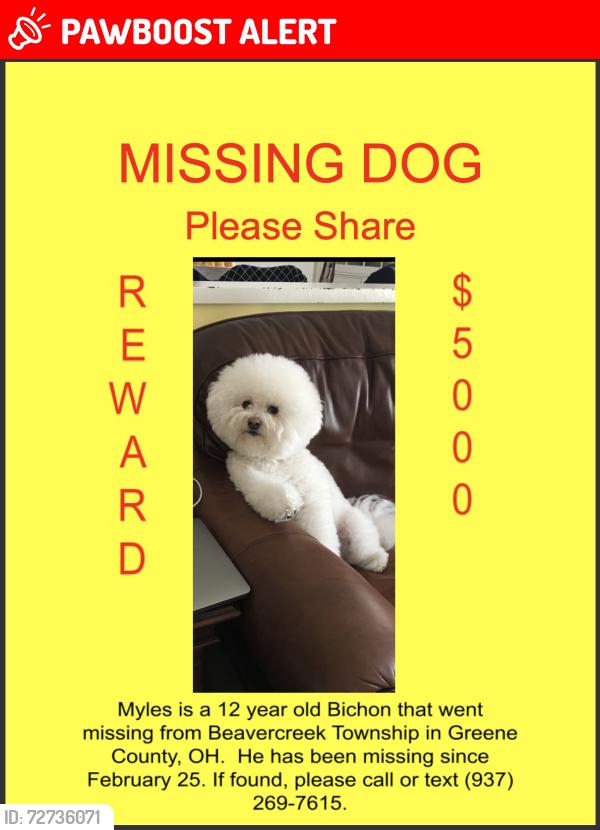 Lost Male Dog last seen Trebein Road and Fairground Road, Beavercreek Township, OH 45385