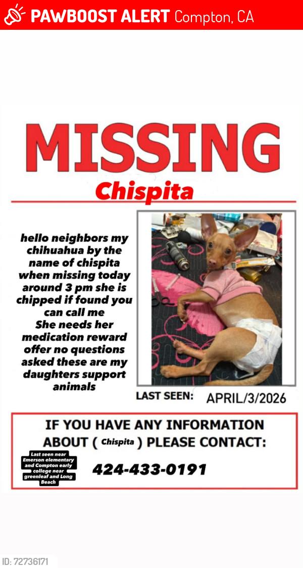 Lost Female Dog last seen Green leaf and Long Beach , Compton, CA 90220