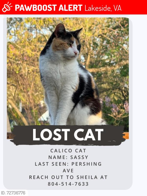 Lost Female Cat last seen Pershing ave, Lakeside, VA 23228