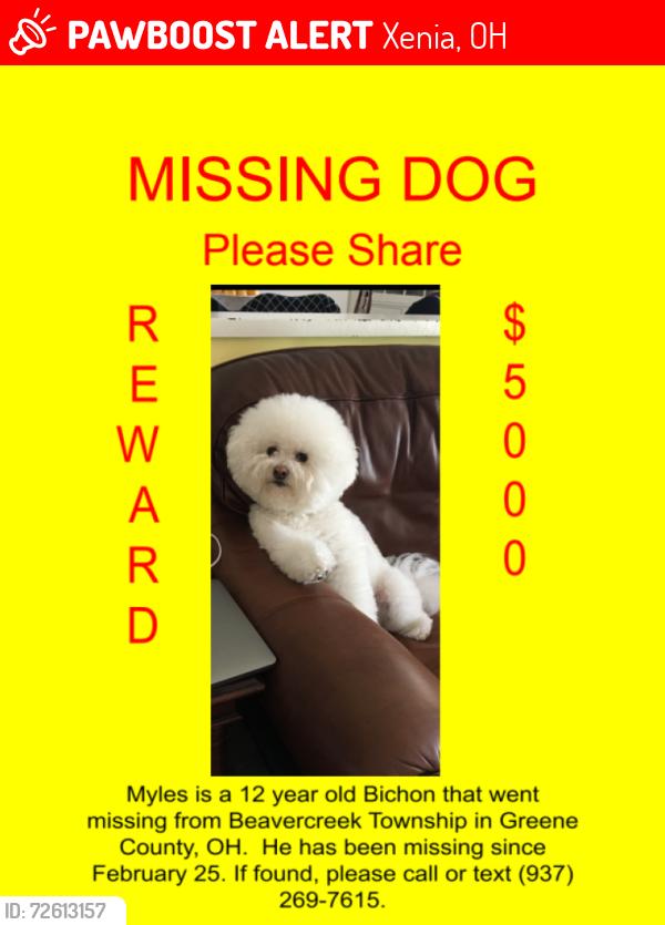 Lost Male Dog last seen Trebein Rd. and Fairground Rd., Xenia, OH 45385