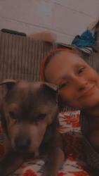 Lost Female Dog last seen 10TH AVE LUKE SMITH RESISTANCE , Council Bluffs, IA 51501