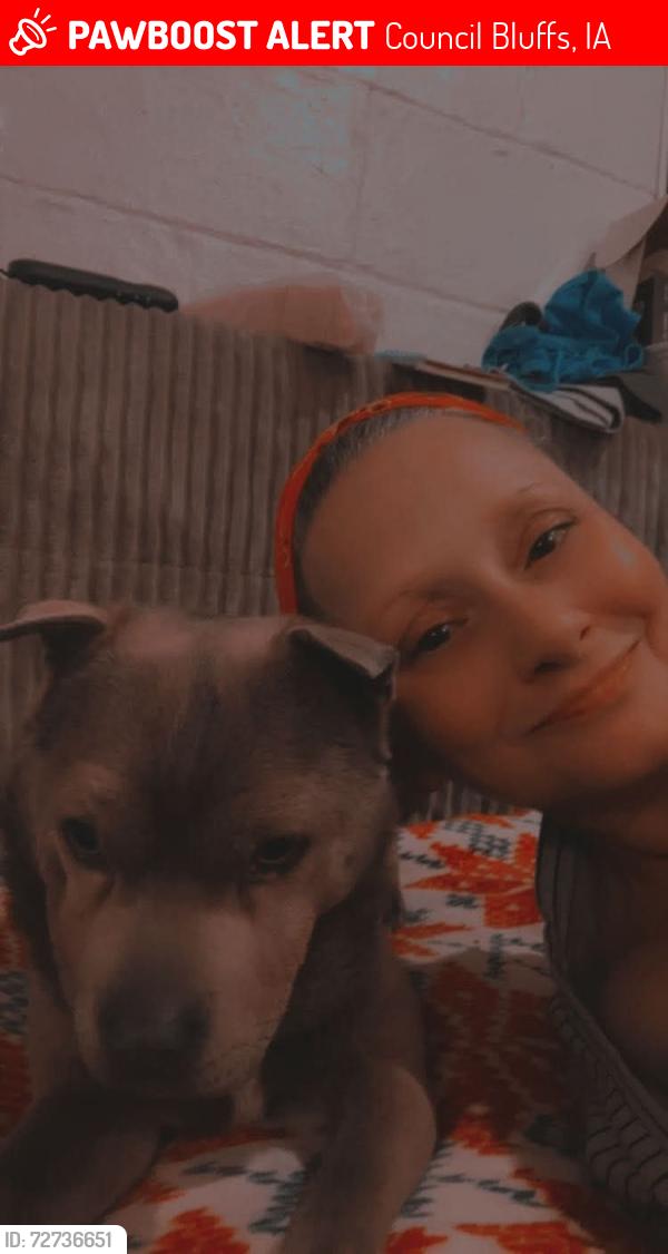 Lost Female Dog last seen 10TH AVE LUKE SMITH RESISTANCE , Council Bluffs, IA 51501