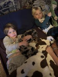 Lost Male Dog last seen Highway 105 Tryon Oklahoma , Tryon, OK 74875