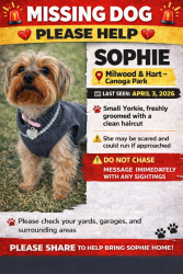 Lost Female Dog last seen Milwood and hart, Los Angeles, CA 91303