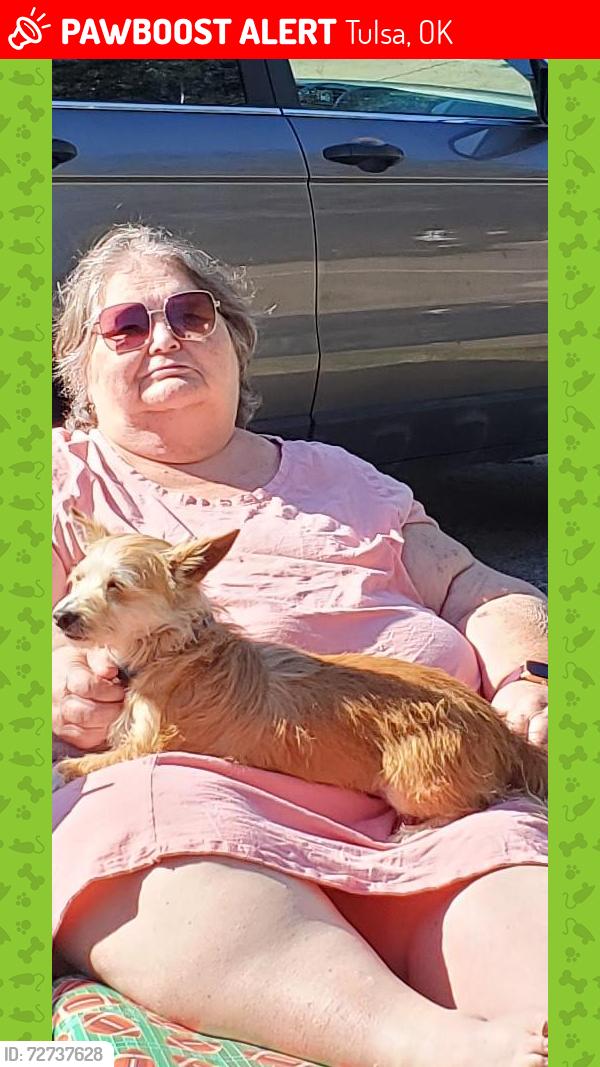 Lost Male Dog last seen 4th and Harvard , Tulsa, OK 74112