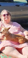 Lost Male Dog last seen 4th and Harvard , Tulsa, OK 74112