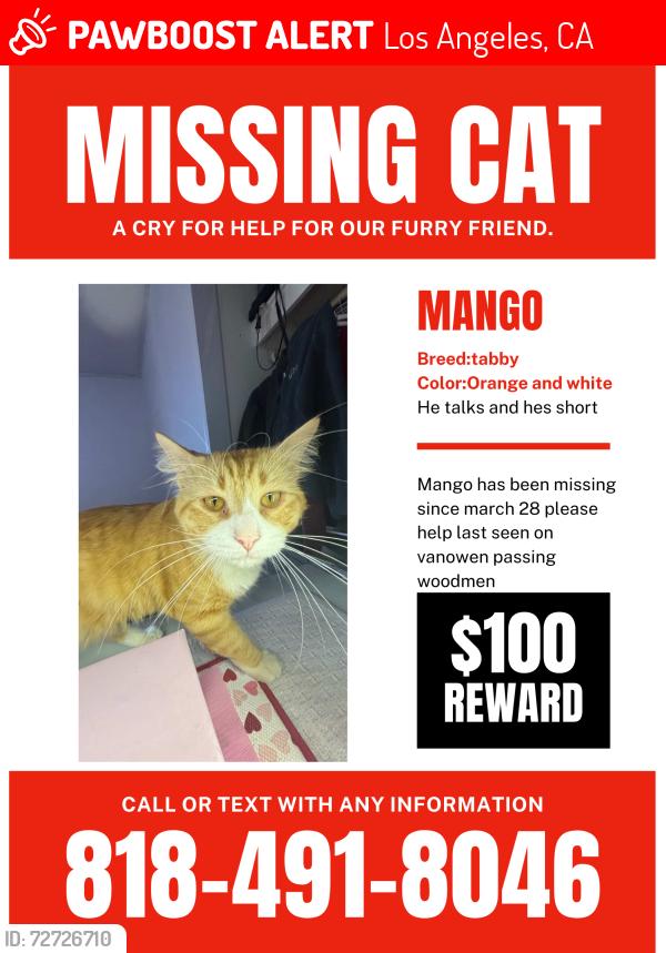 Lost Male Cat last seen Vanowen passing woodman , Los Angeles, CA 91405