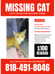 Lost Male Cat last seen Vanowen passing woodman , Los Angeles, CA 91405
