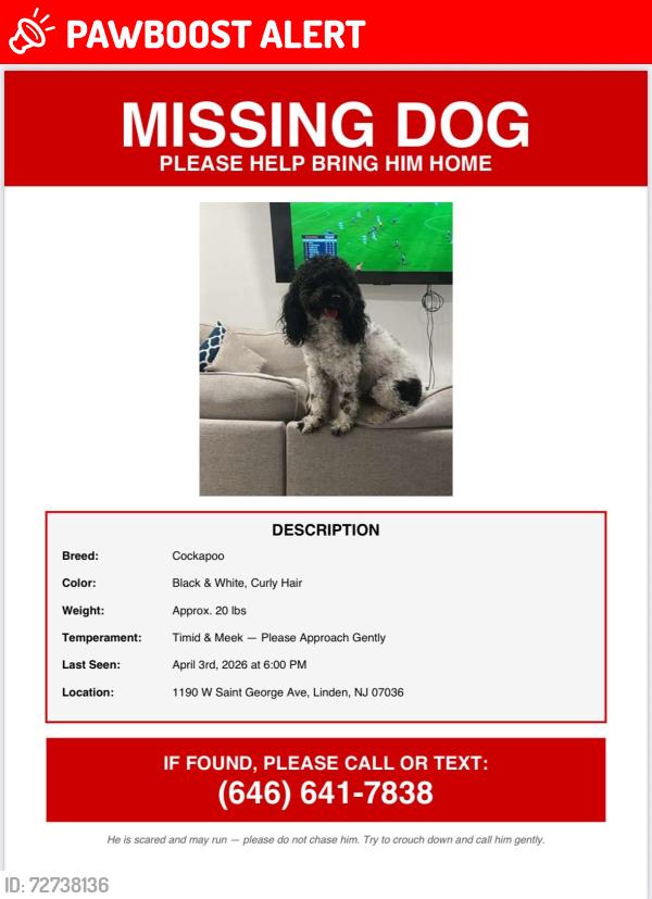 Lost Male Dog last seen Near Blake Dr, Clark  NJ, Woodbridge Township, NJ 07001