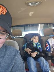 Lost Male Cat last seen Winkler Way and Turnbury Drive, Sacramento, CA 95828