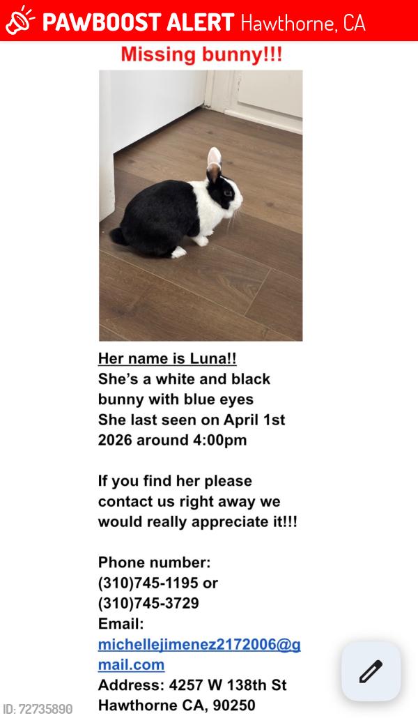 Lost Female Rabbit last seen 13th st, Hawthorne, CA 90250