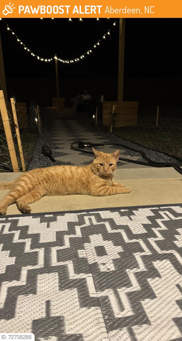 Found/Stray Male Cat last seen Calloway Rd, Aberdeen, NC 28315