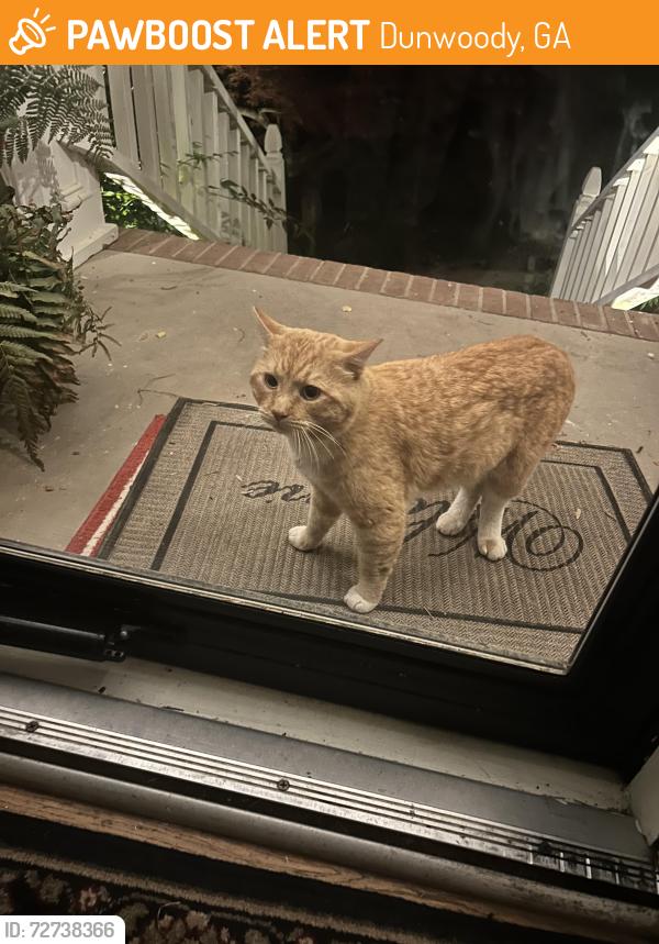 Found/Stray Male Cat last seen Peeler road and winters chapel, Dunwoody, GA 30338