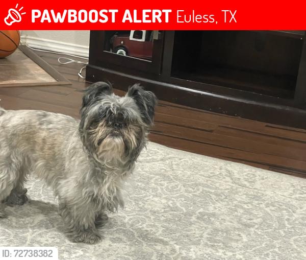 Lost Male Dog last seen Fort Worth , Euless, TX 76040